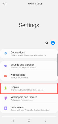 Samsung Galaxy s10 settings display highlighted