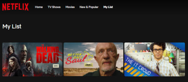 Netflix Website Shows on My List