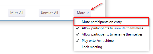 Zoom Mute All Participants on Meeting Entry Option