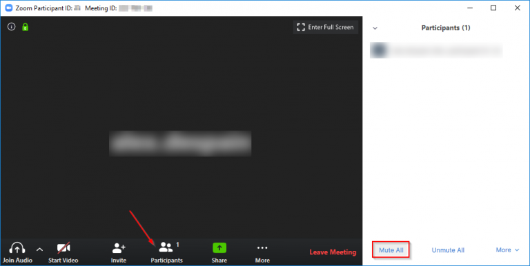 how to mute zoom meeting