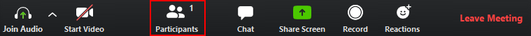Participants Icon in Zoom Meeting Controls