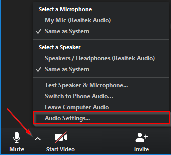 Zoom Audio Settings in Meeting Controls