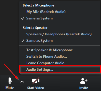 Zoom Audio Settings