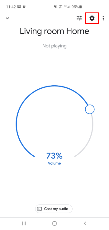 Google Home Settings in Google Home App