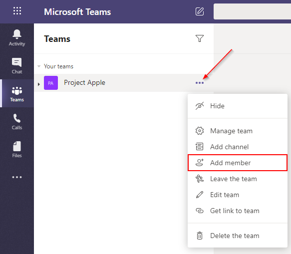 Microsoft Teams Add Member Option