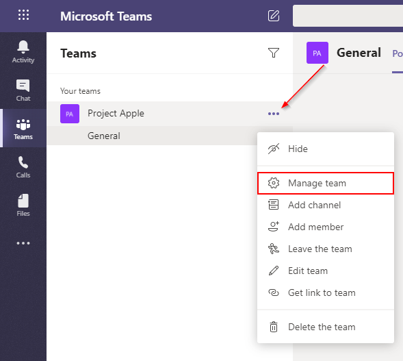 Microsoft Teams Manage Team Option