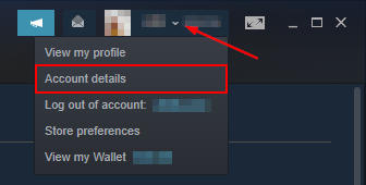 Steam Account Details in Account Name Dropdown