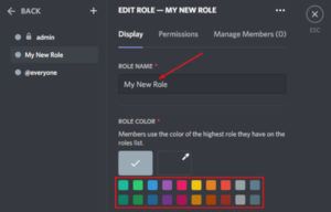 Discord Role Name and Color on Edit Role Page