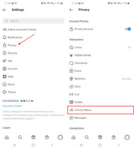 Instagram Mobile App Privacy and Activity Status in Settings