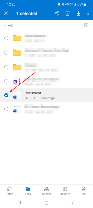 OneDrive Mobile App File Selected