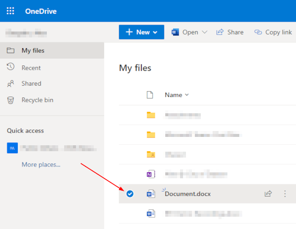 OneDrive Web File Selected